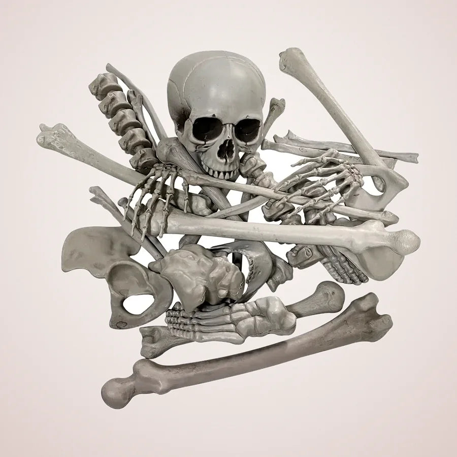 Lyndhurst Skeleton, photo 1