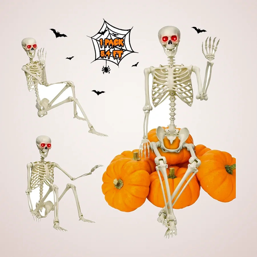 Sutherland 5.4-Foot Skeleton, photo 1