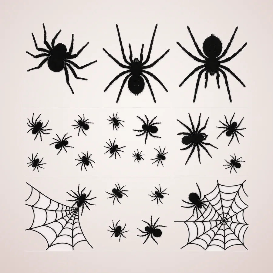 Ardmore Spider Window Silhouettes, photo 1
