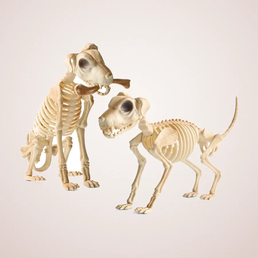Avebury Skeleton Dog Pair, photo 1