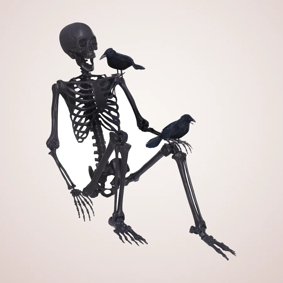 Beaumont 5.4-Foot Skeleton, photo 1