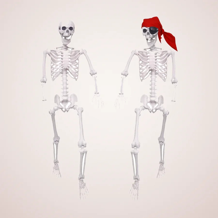Brompton 5.4 ft Skeleton, 2 pack, photo 1