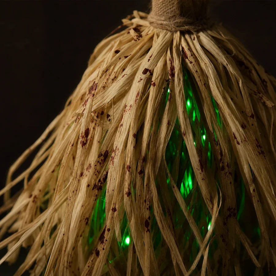 Cadogan 35-Inch Animated Witch Broom, photo 7