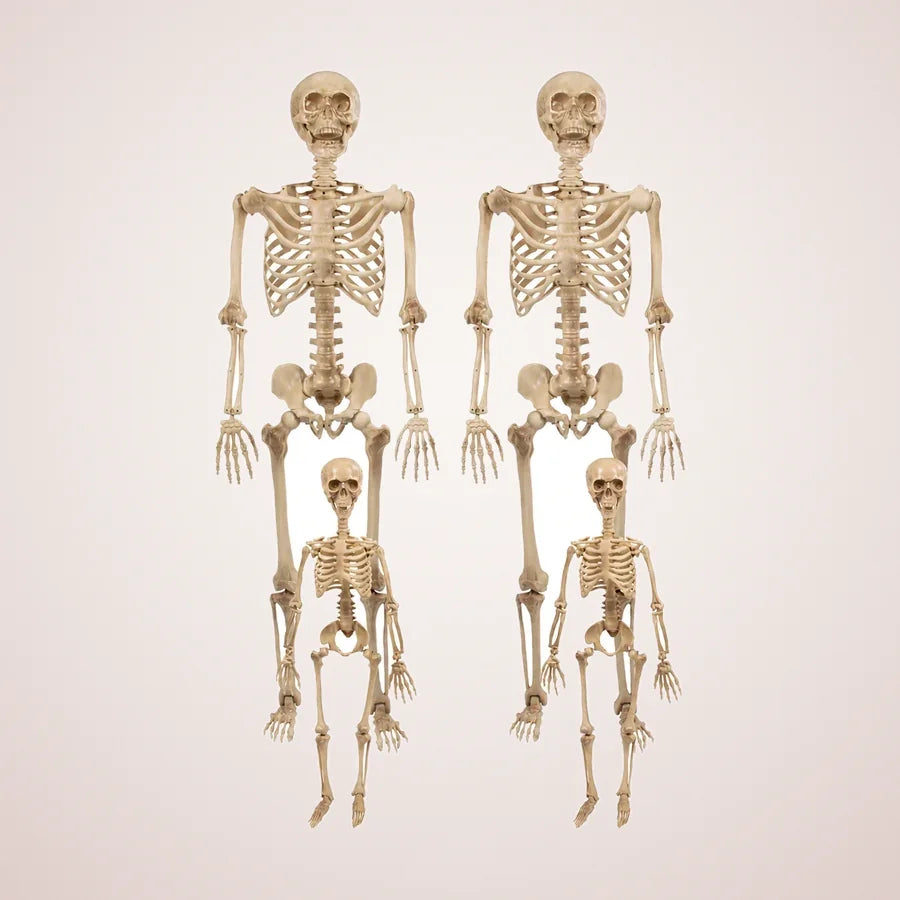 Carrick Skeleton Family, 4 pack, photo 1