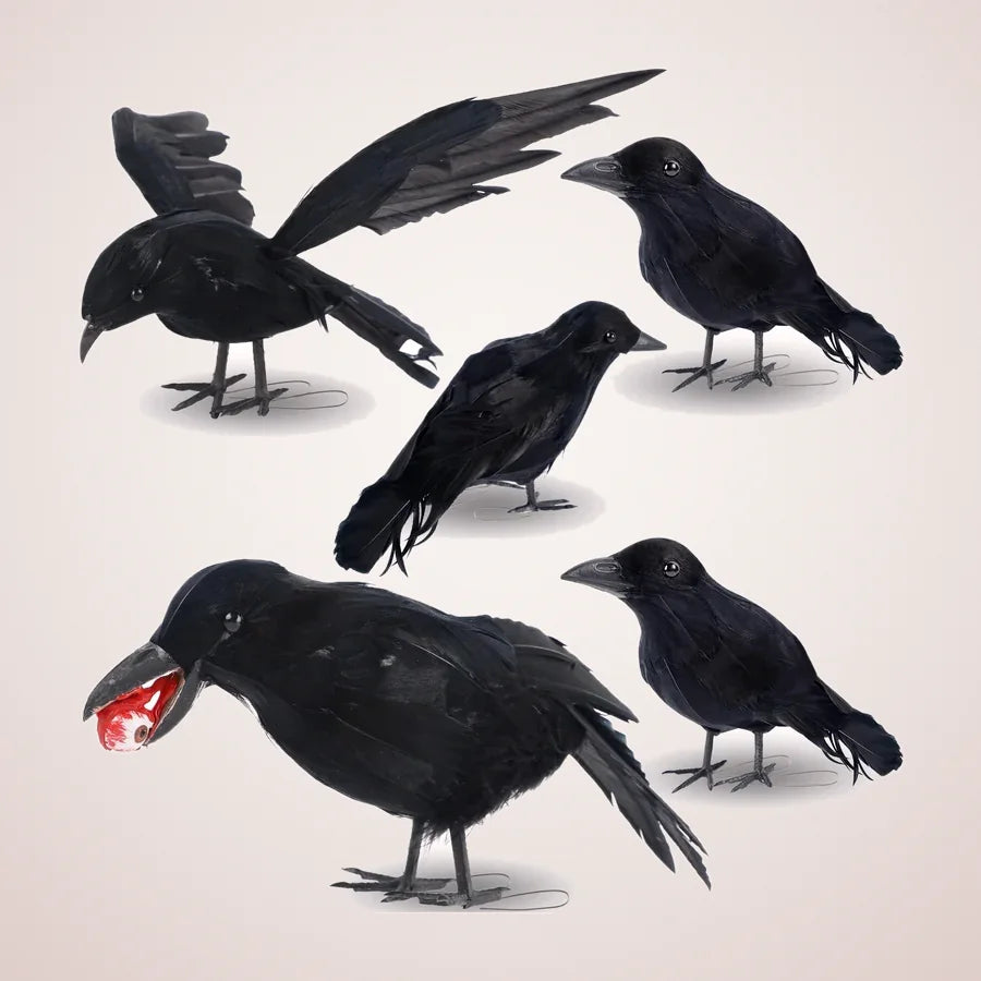 Devereux Crows, 5 pack, photo 1