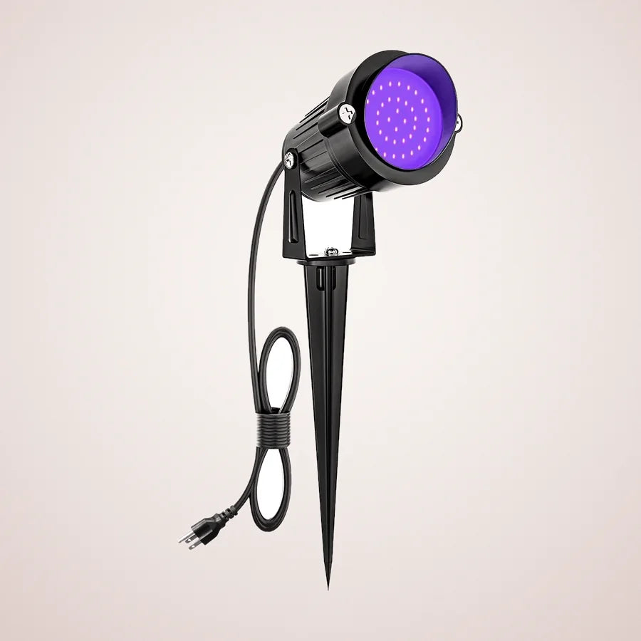 Edgecombe Spotlight, 1 pack, photo 1