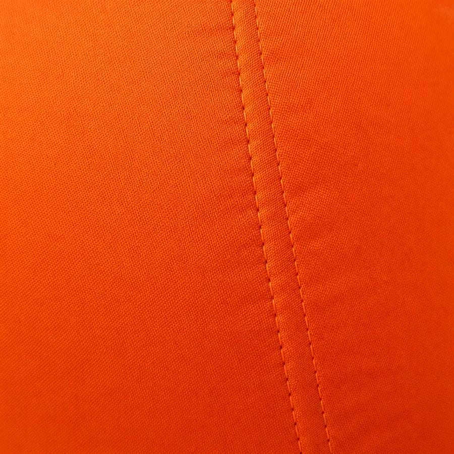 Finchley 20-Foot Giant Pumpkin, photo 4