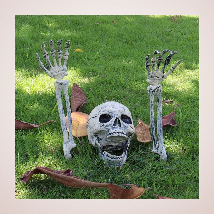 Godfrey Buried Skeleton, photo 1