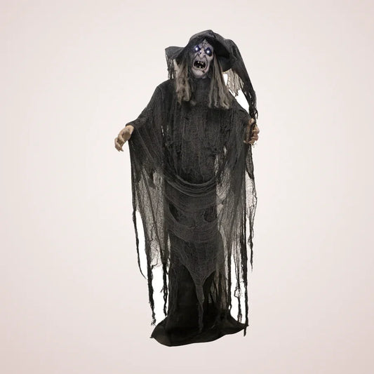 Harcourt Witch Animatronic, photo 1