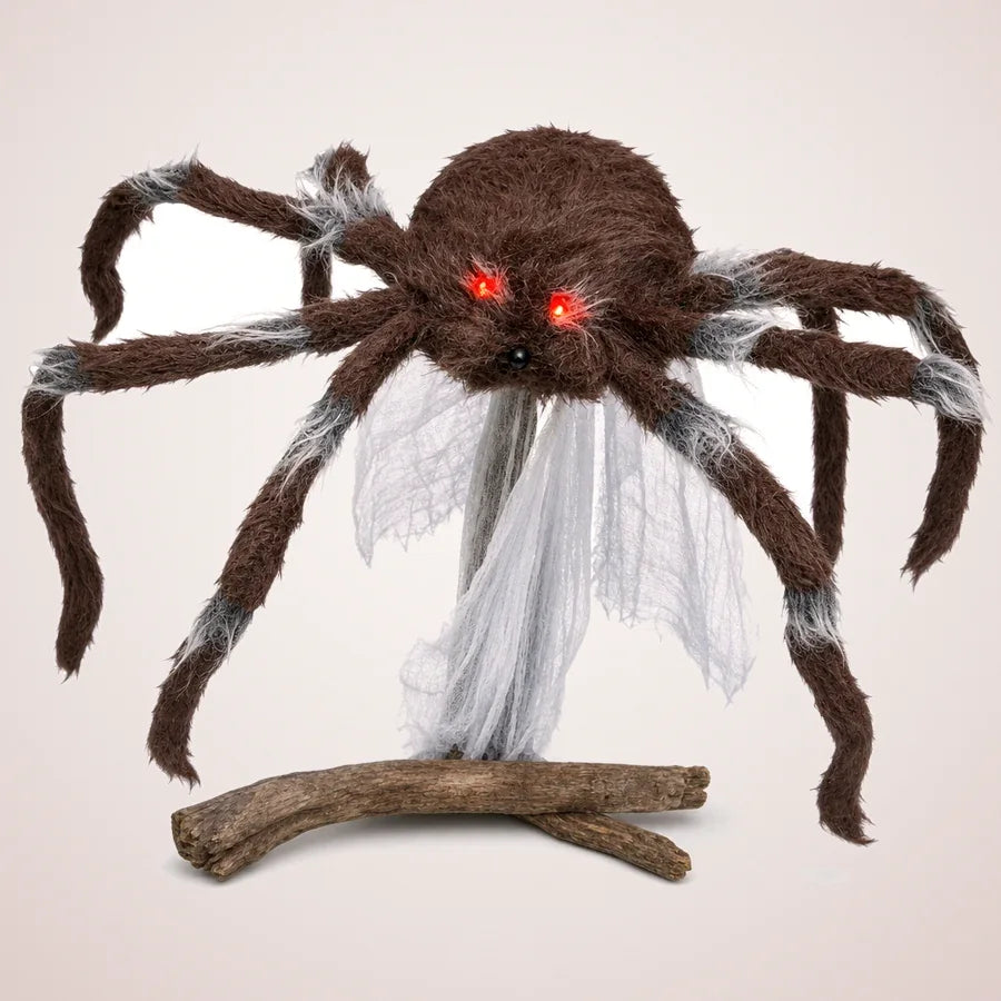 Jasper Spider, photo 1