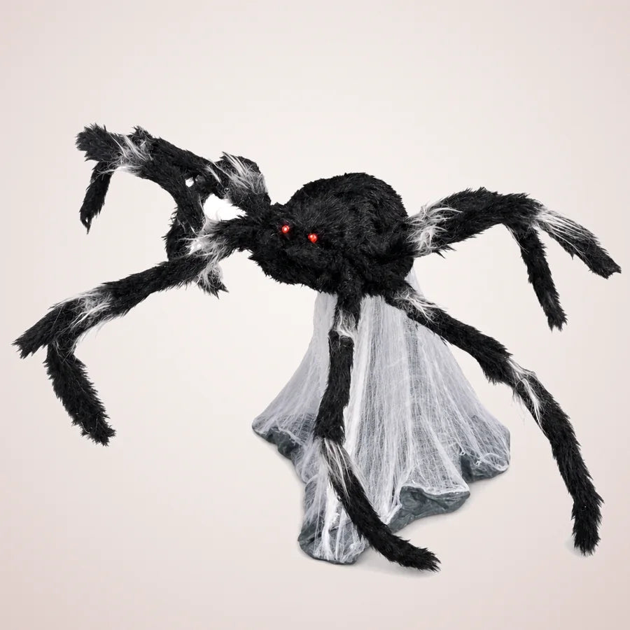 Kensal Spider, photo 1